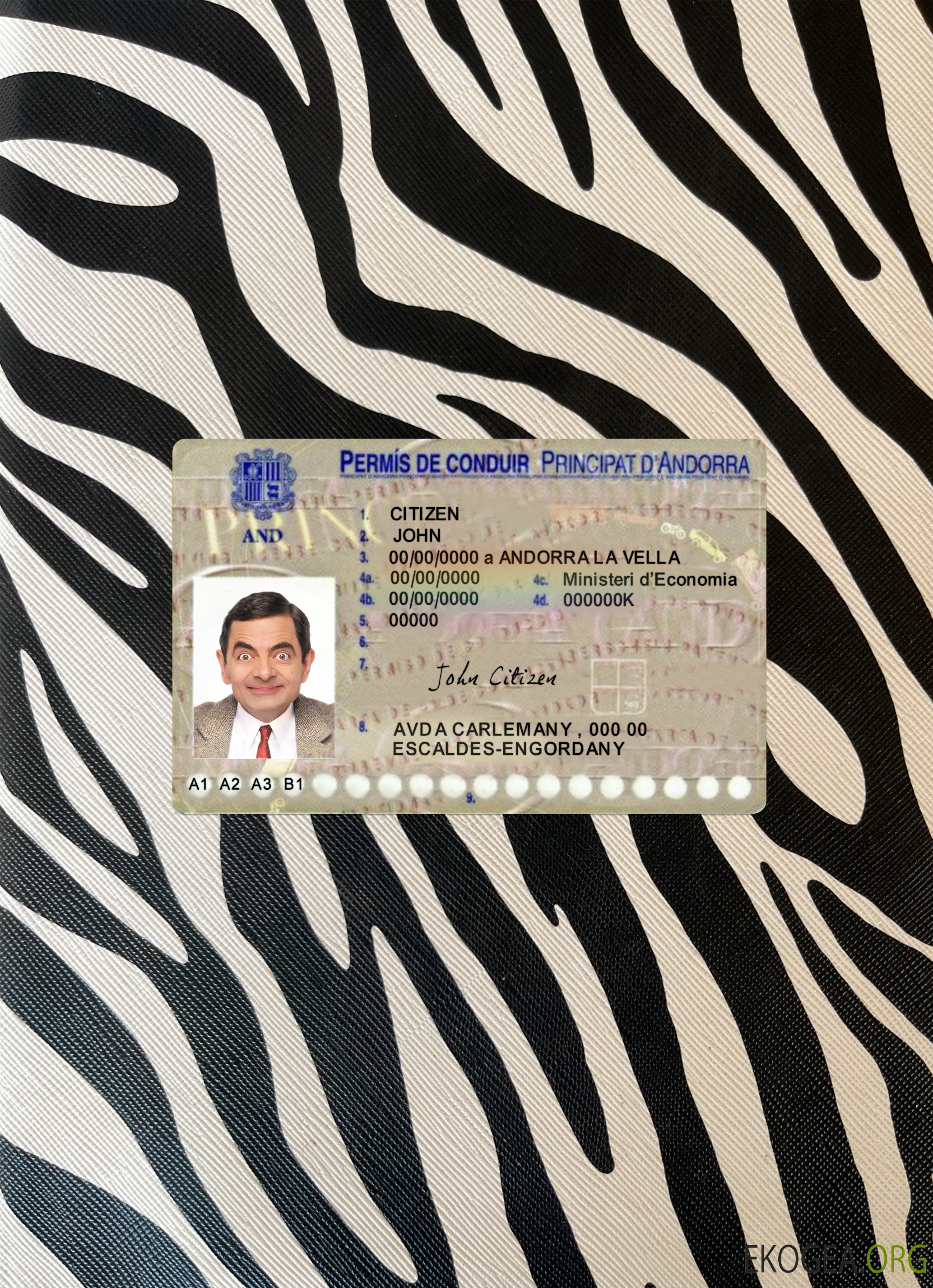 Photolook recto du permis de conduire d'Andorre